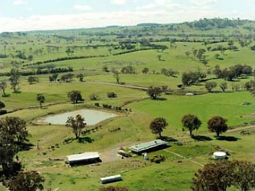 Aerial view of Argyle Park